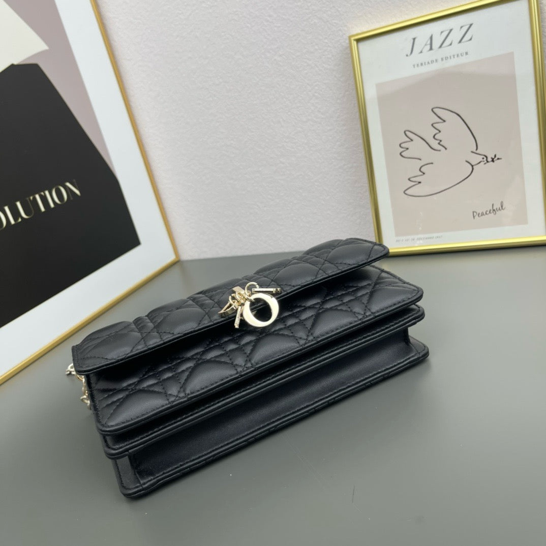 DIOR - lady dior