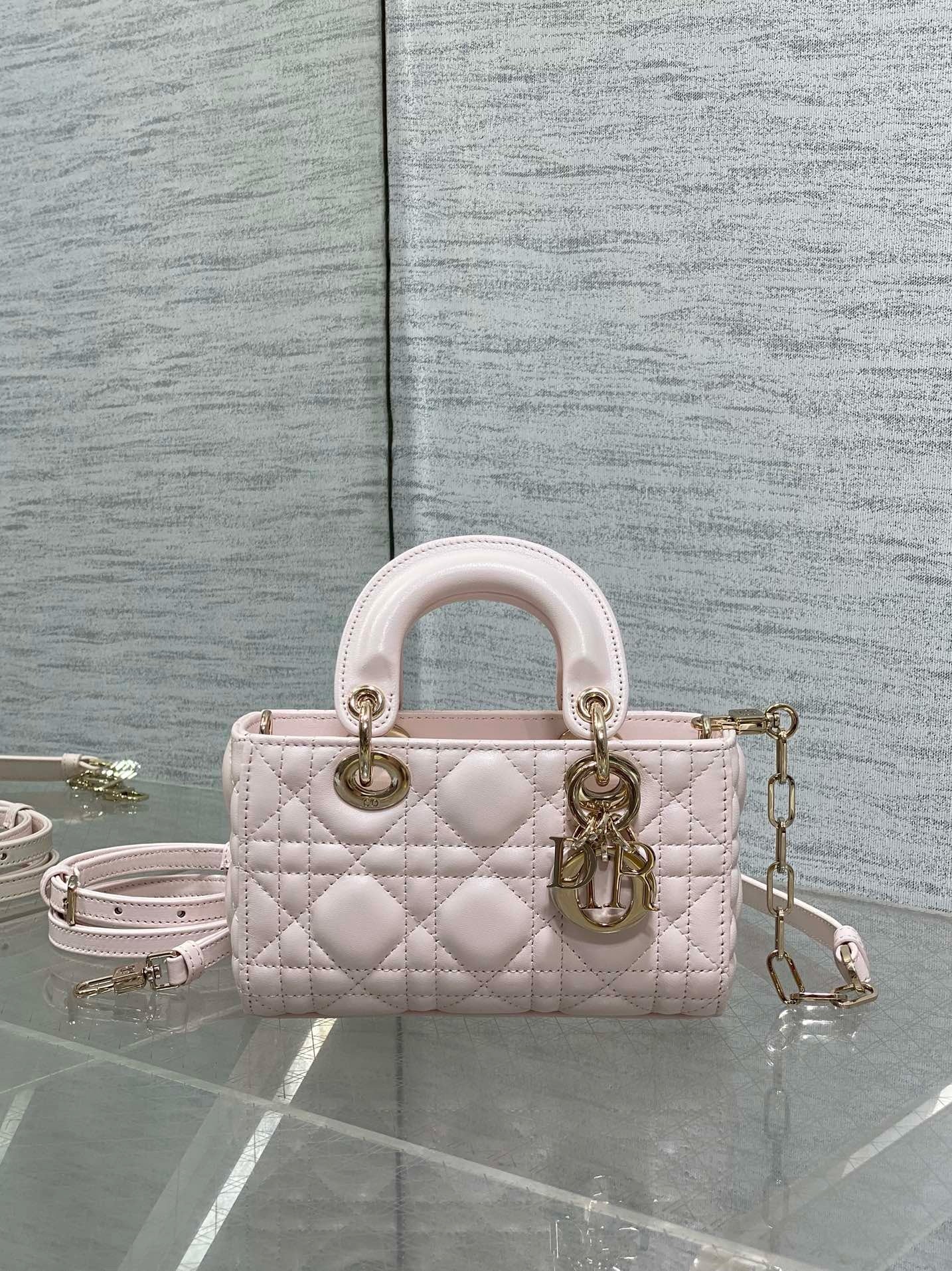 DIOR - D Joy bag