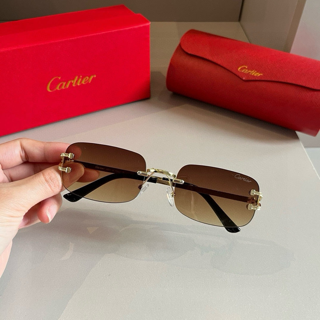 CARTIER- Sunglasses