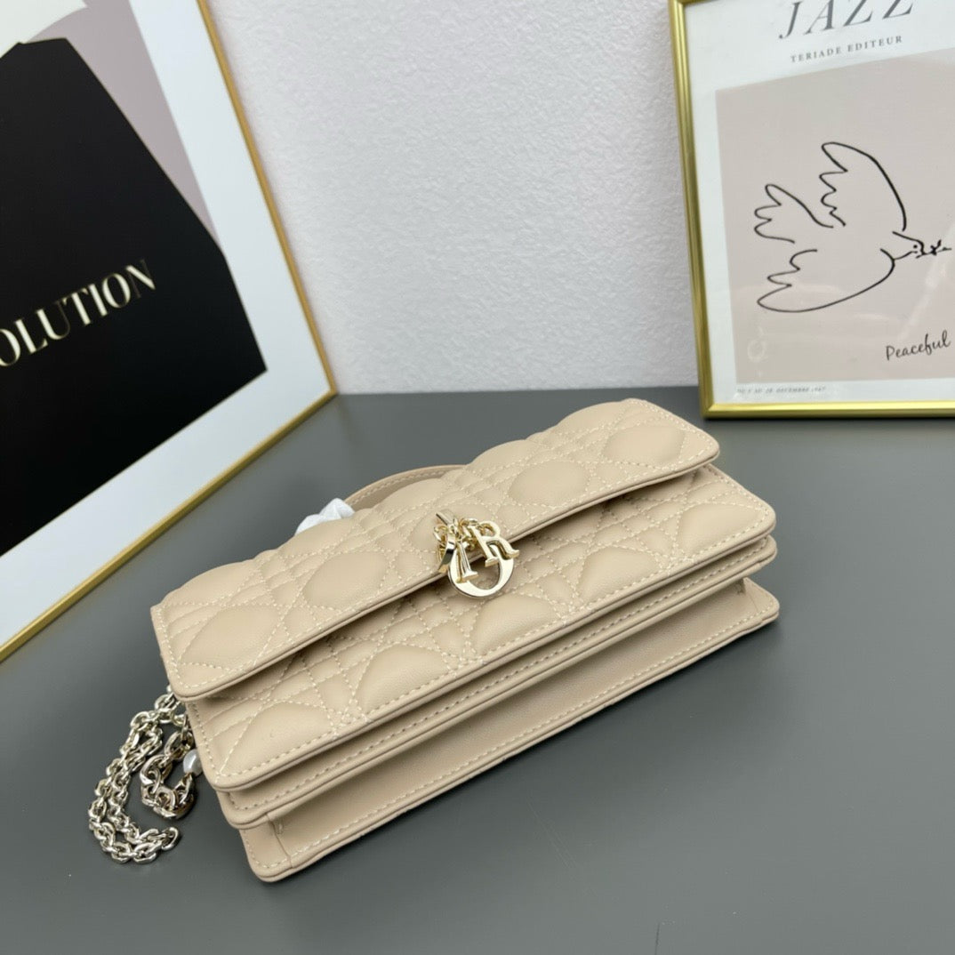 DIOR - lady dior
