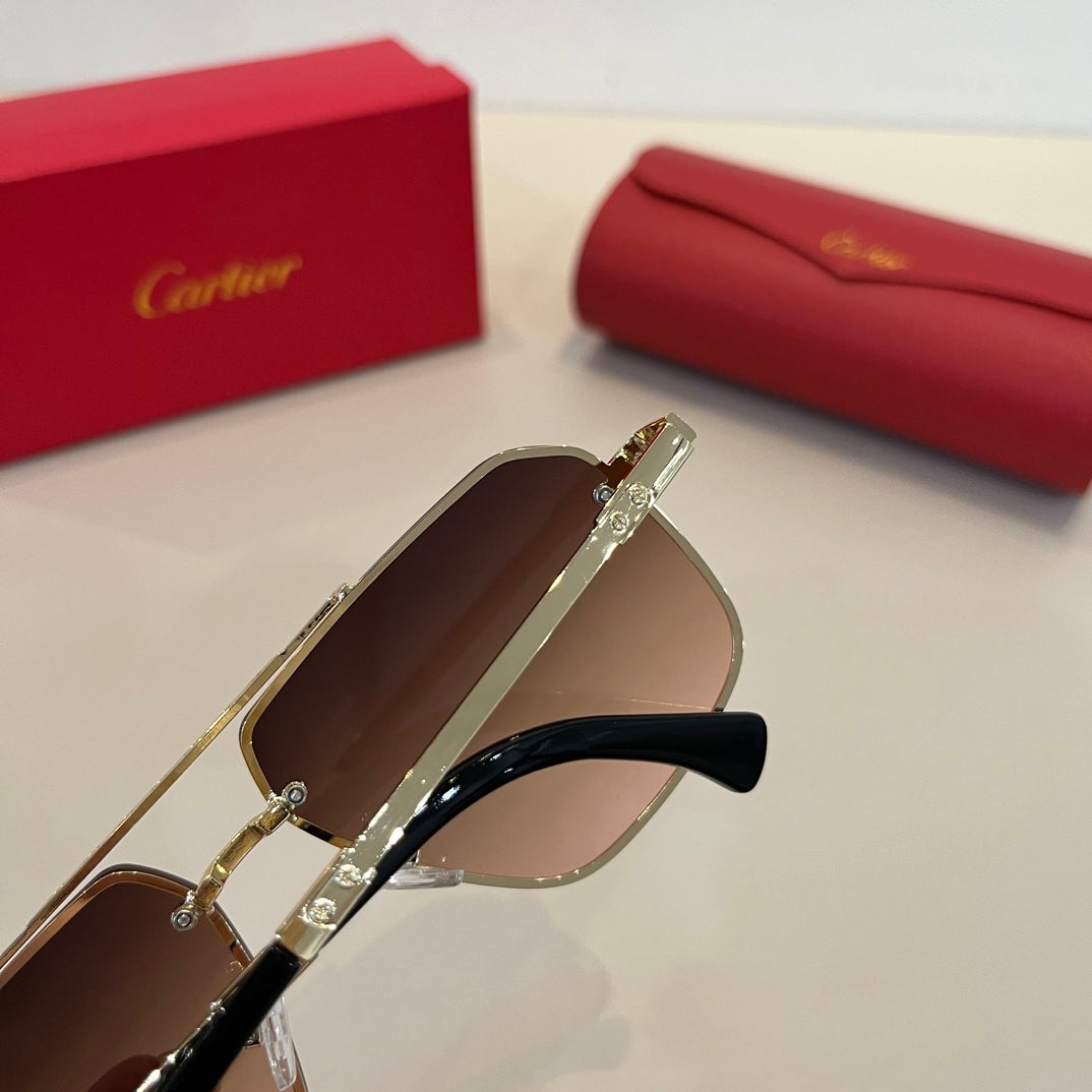CARTIER- Sunglasses
