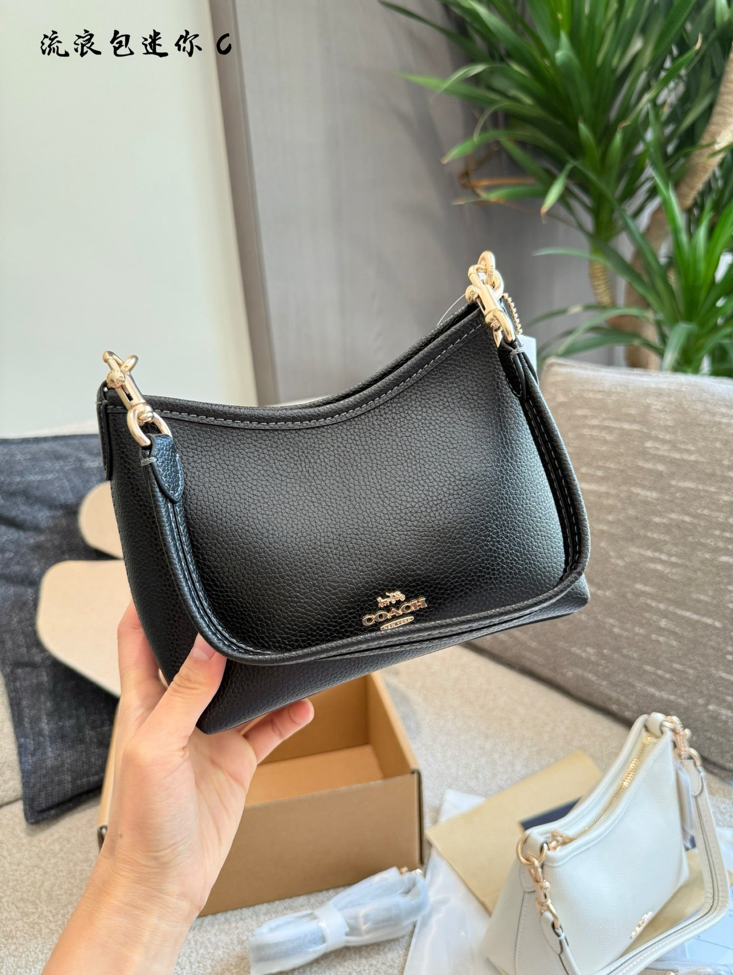 COACH - Laurel