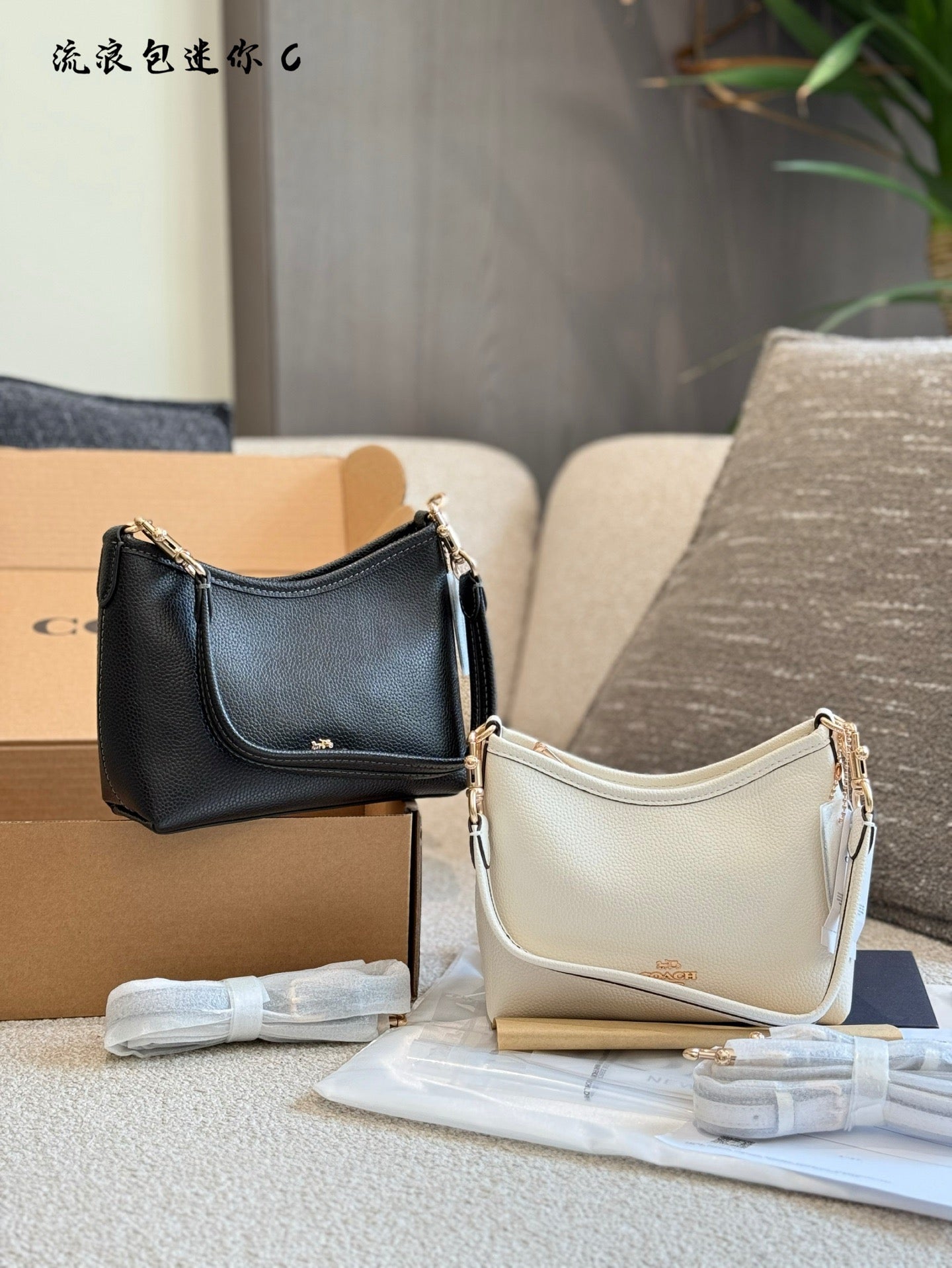 COACH - Laurel