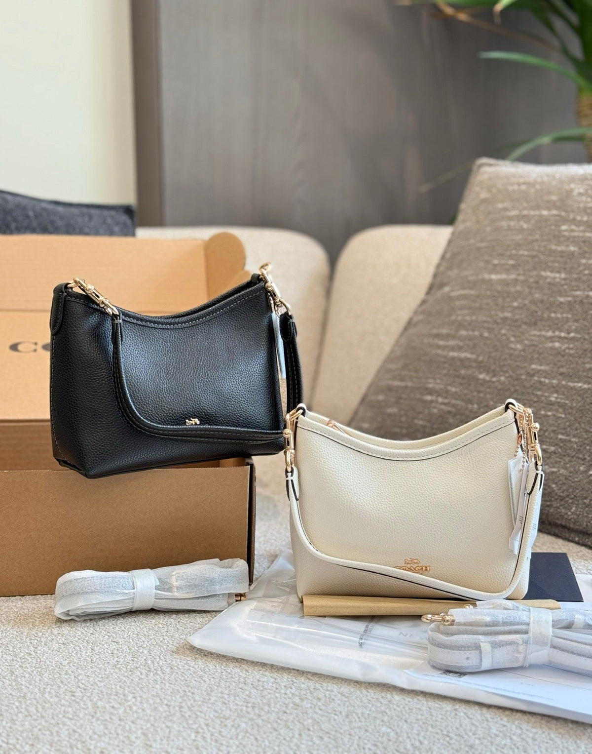 COACH - Laurel