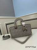 DIOR - D joy bag