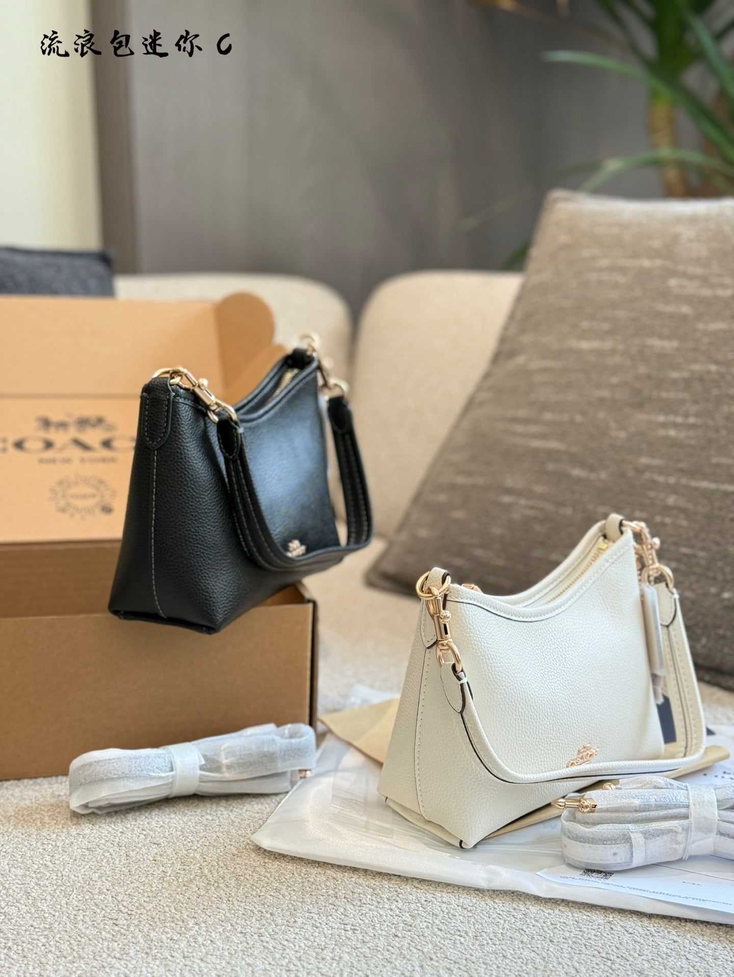 COACH - Laurel