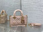 DIOR - D Joy bag
