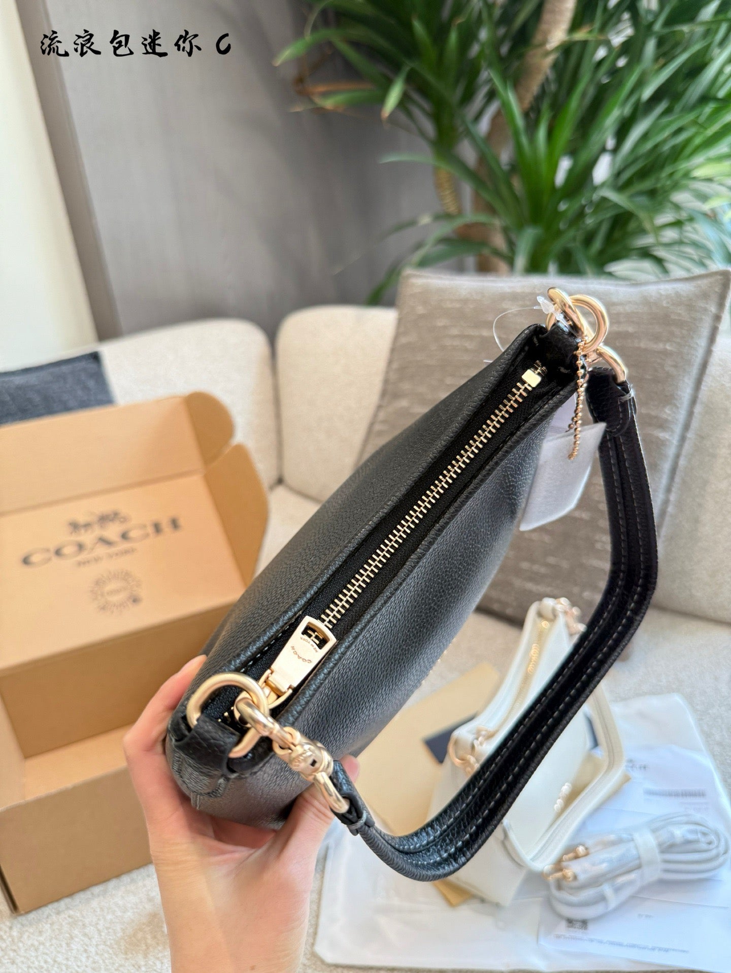 COACH - Laurel