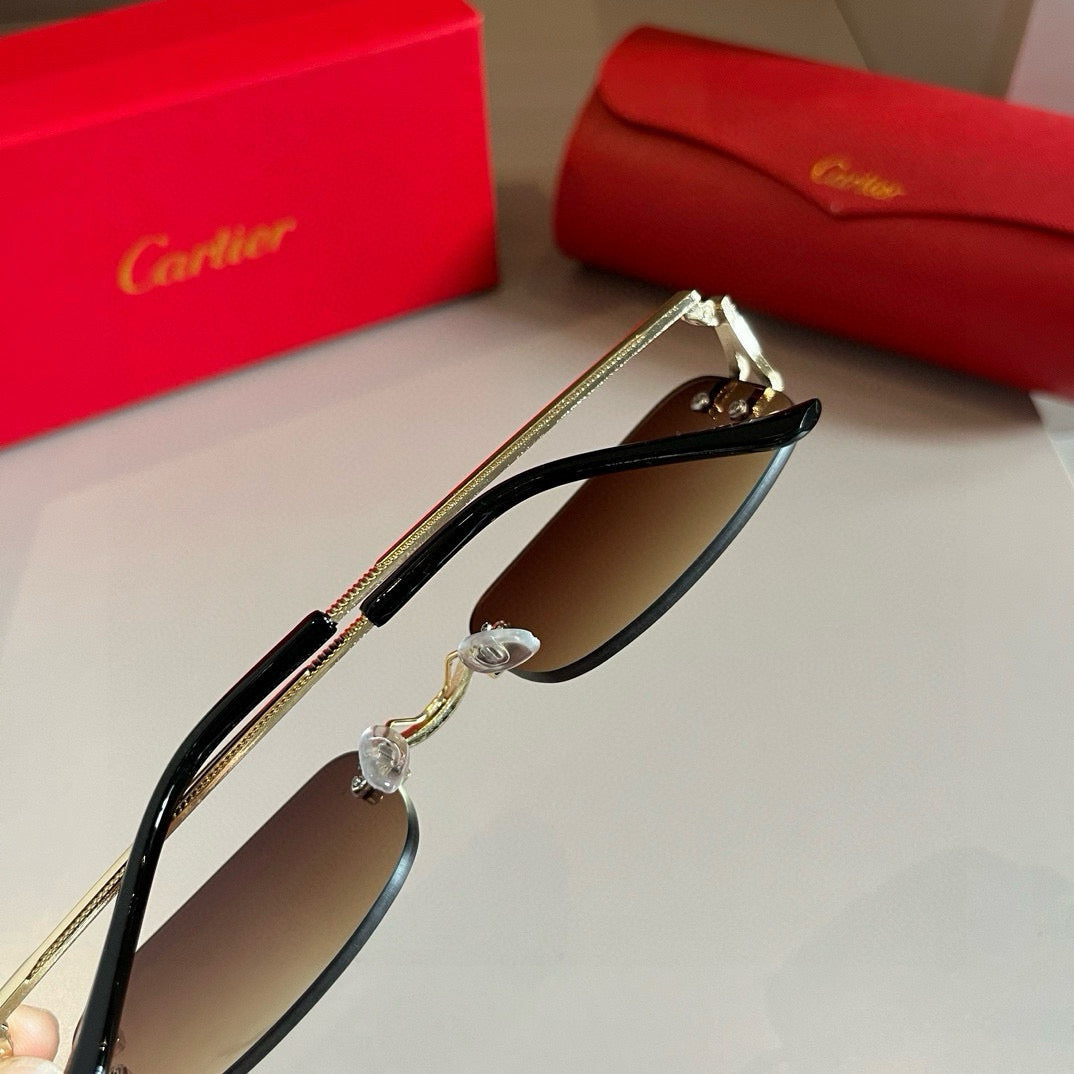 CARTIER- Sunglasses