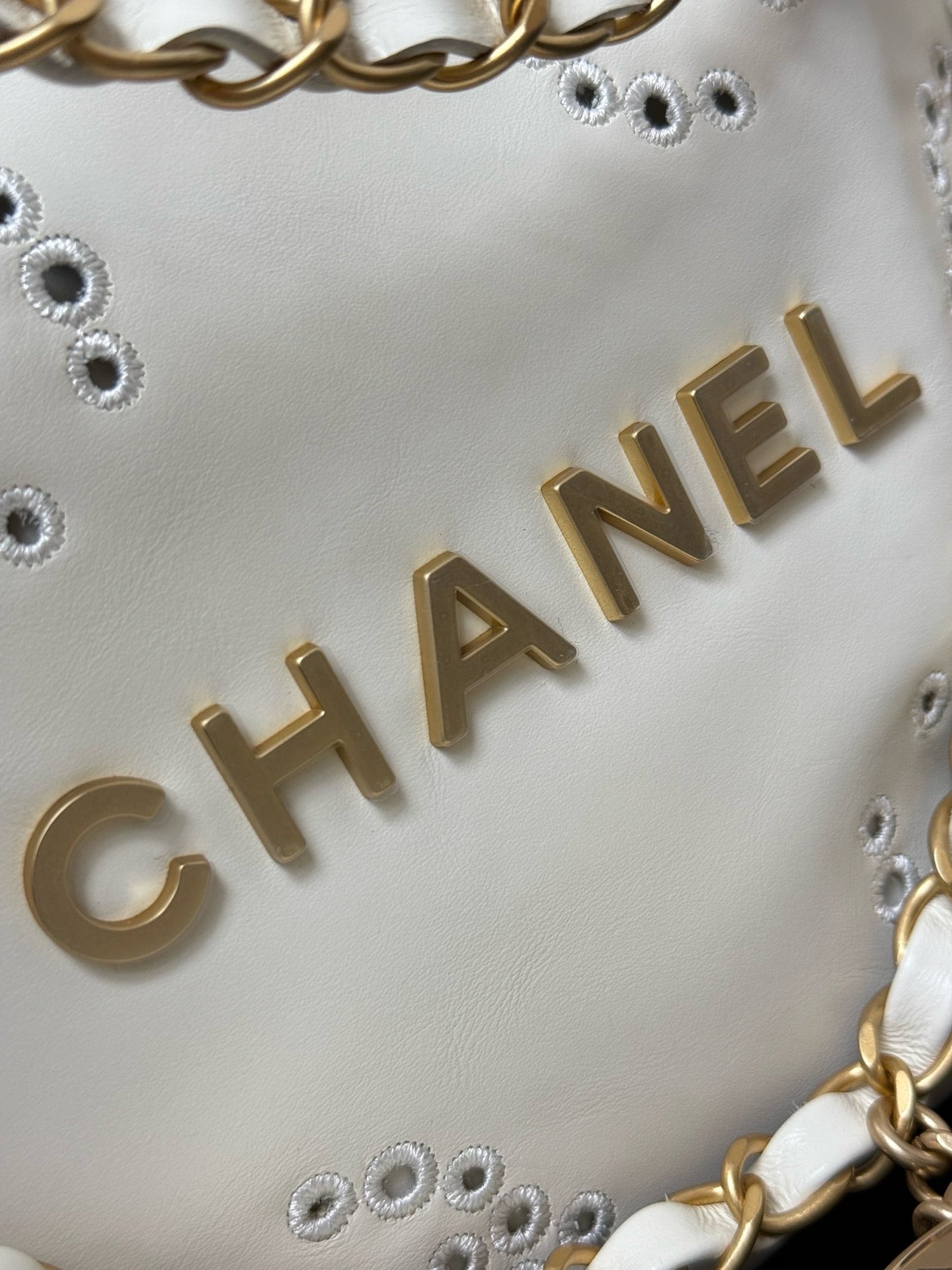 CHANEL - Shiny Calfskin & Gold-Tone Metal