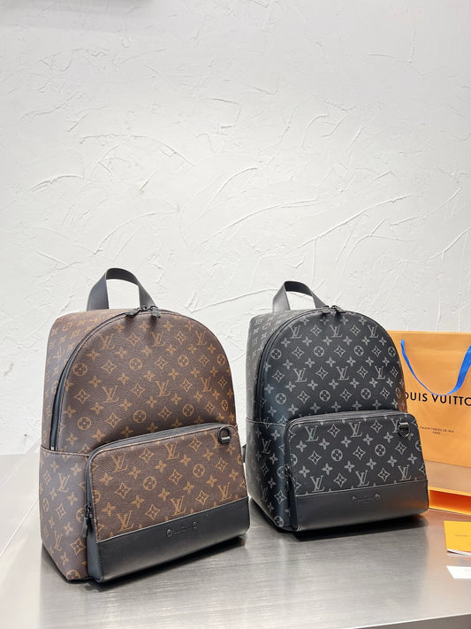 LOUIS VUITTON- Men’s Leather Backpack