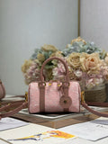 DIOR - mini Groove 25 Bag