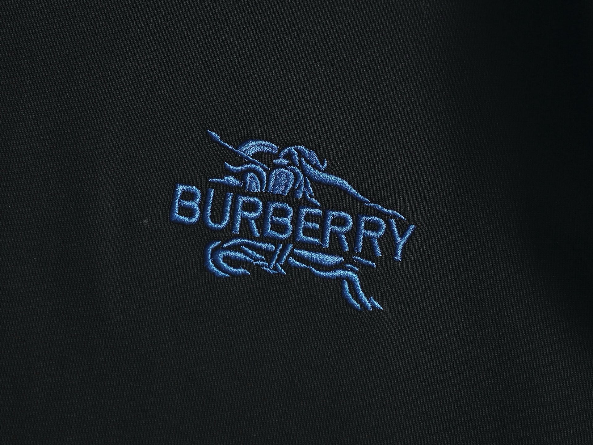 BURBERRY - T-shirt
