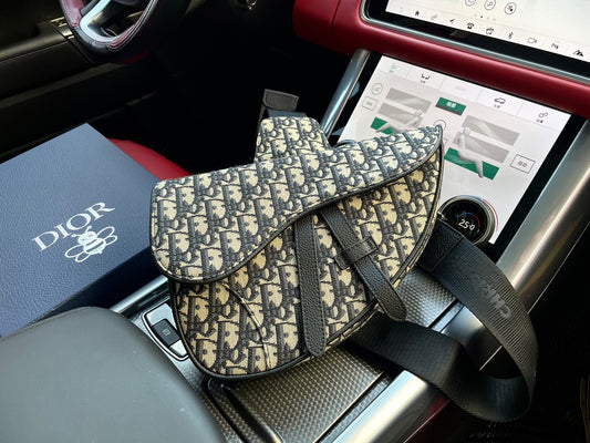 DIOR - Men’s Saddle ophidia bag