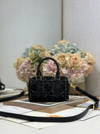 DIOR - mini Groove 25 Bag