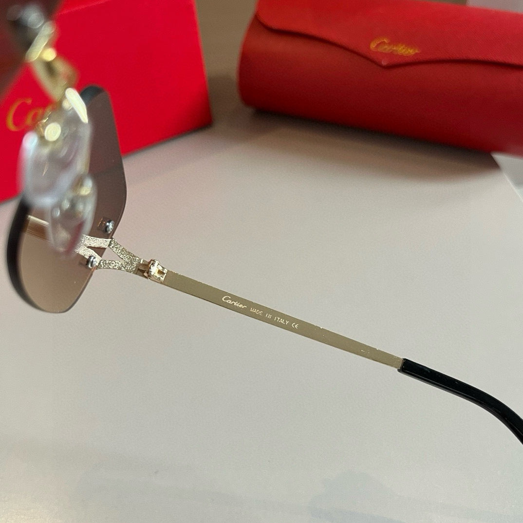 CARTIER- Sunglasses
