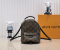 LOUIS VUITTON - Palm Springs