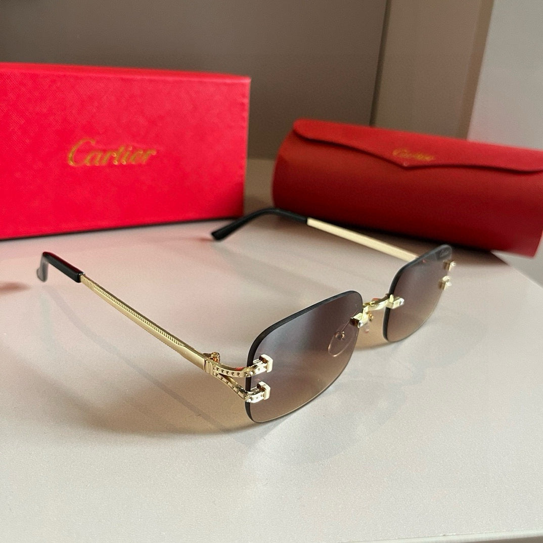 CARTIER- Sunglasses