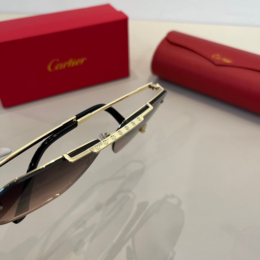 CARTIER- Sunglasses