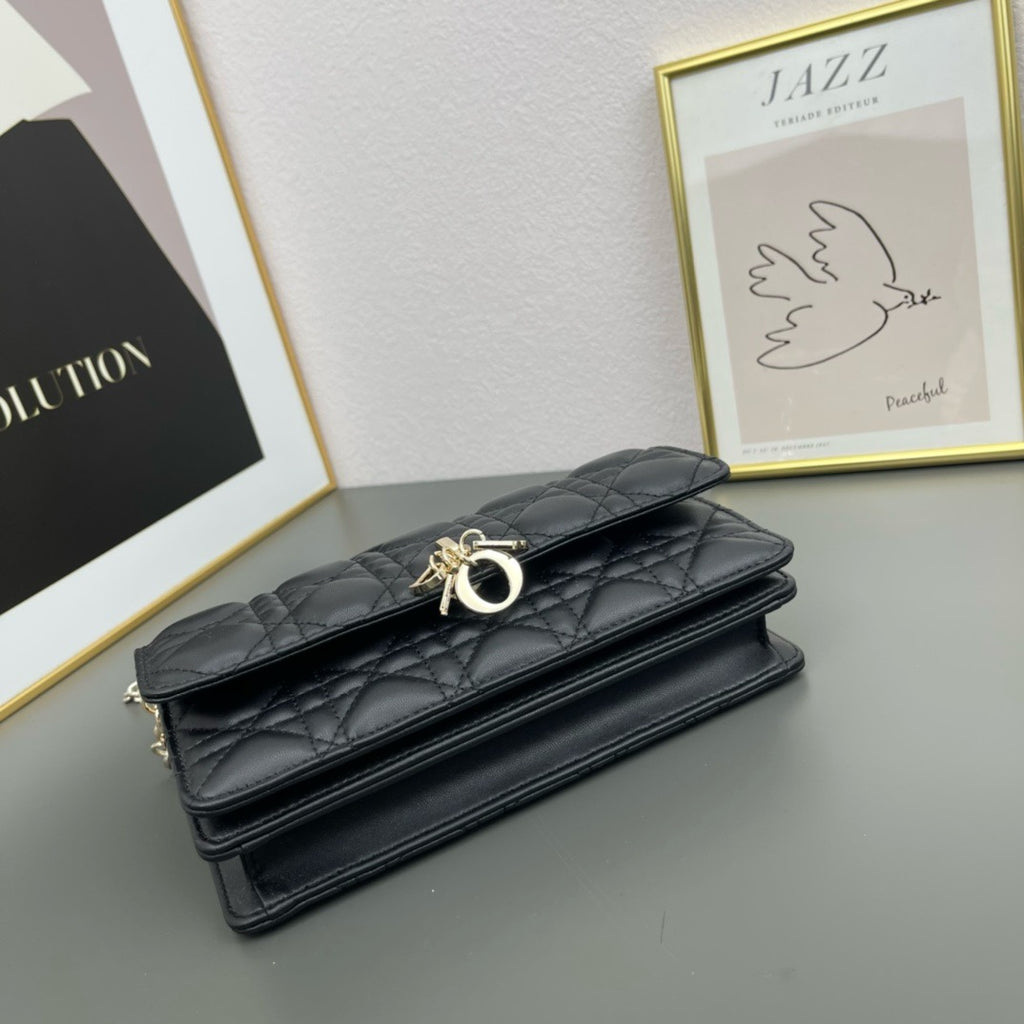 DIOR - lady dior