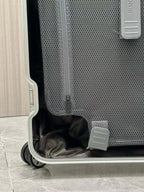 RIMOWA - ORIGINAL Cabin