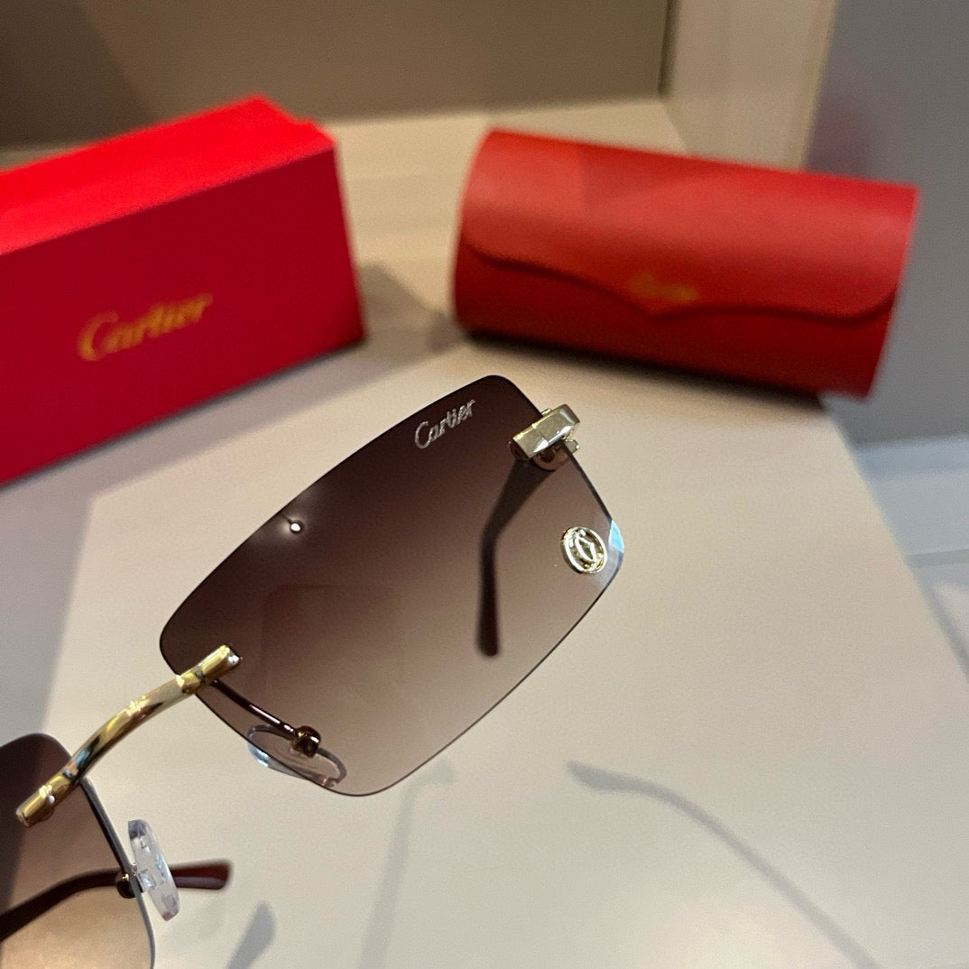 CARTIER- Sunglasses