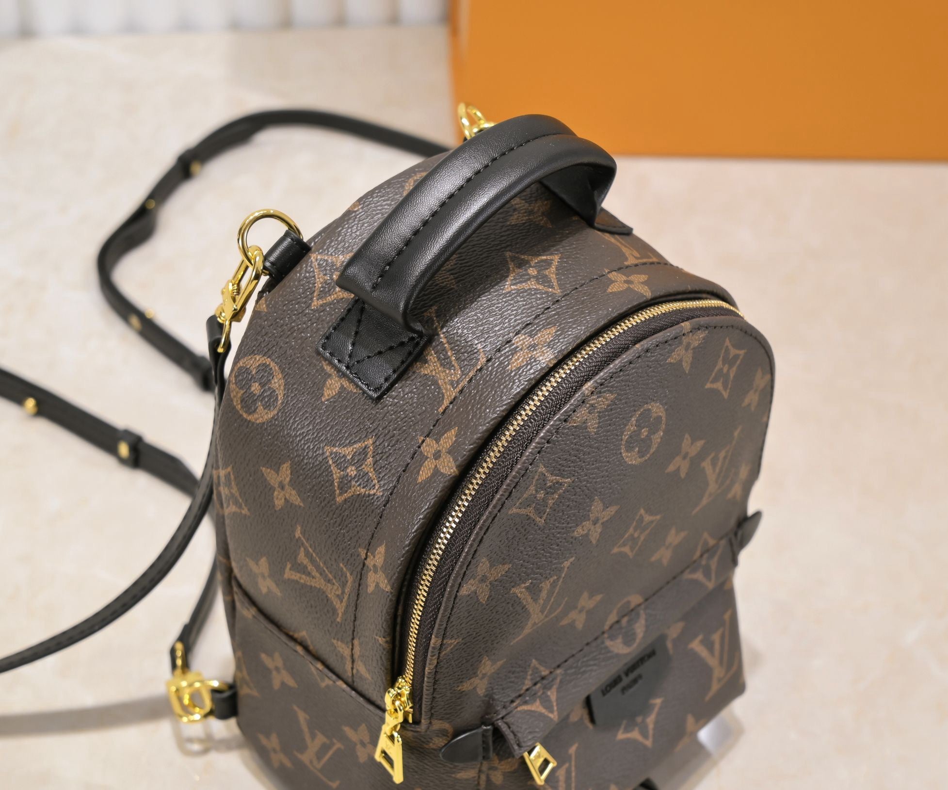 LOUIS VUITTON - Palm Springs
