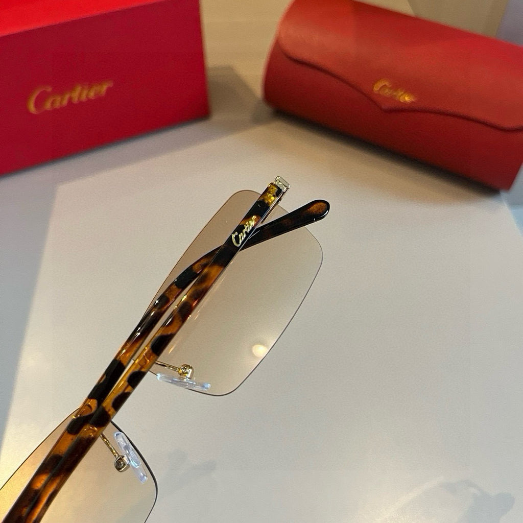 CARTIER- Sunglasses
