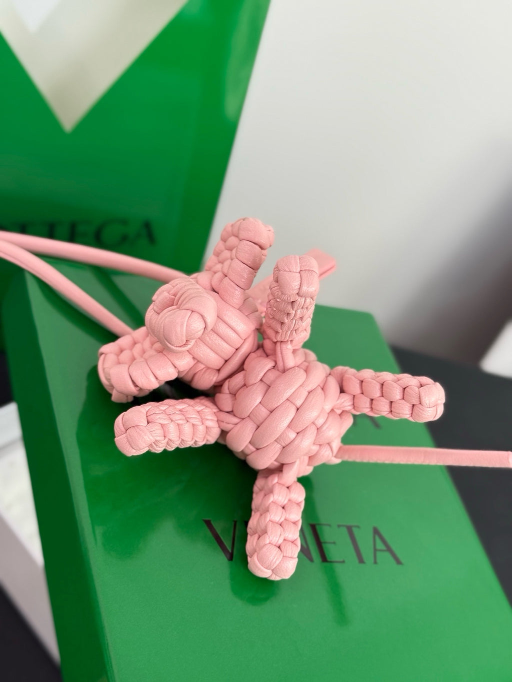 BOTTEGA VENETA - Intrecciato Leather Bag Charm