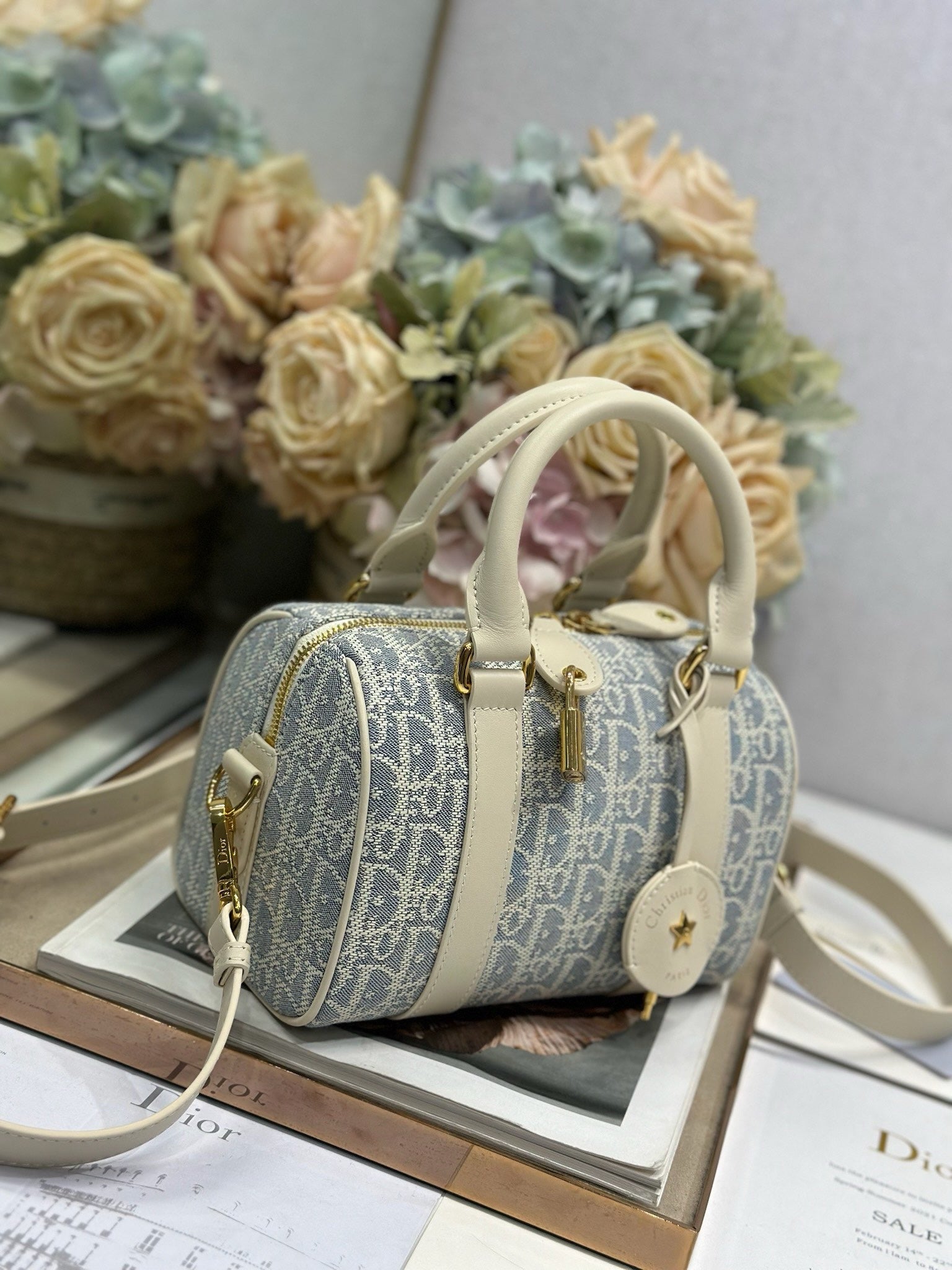 DIOR - mini Groove 25 Bag