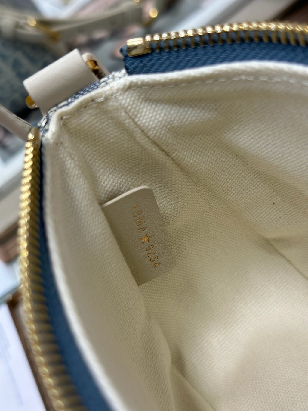 DIOR - Montaigne Wanderlust Mini Bag