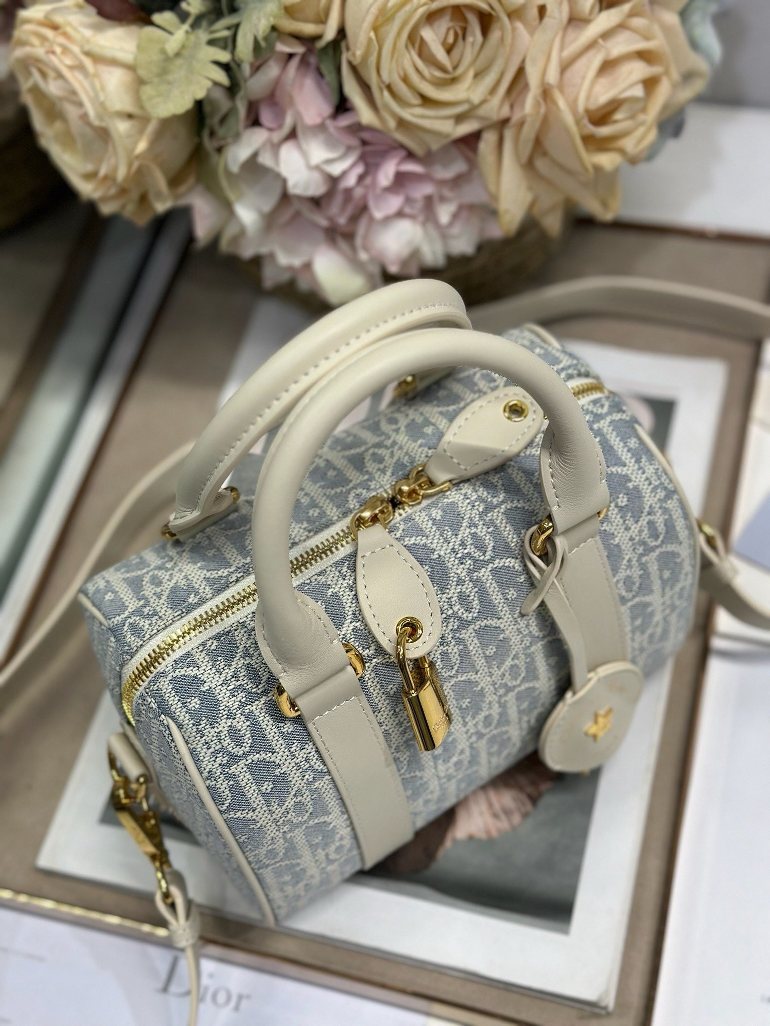 DIOR - mini Groove 25 Bag