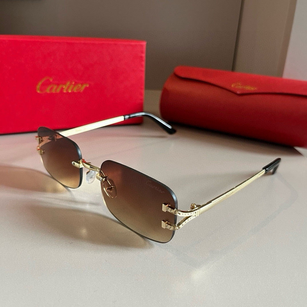 CARTIER- Sunglasses