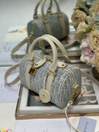 DIOR - mini Groove 25 Bag
